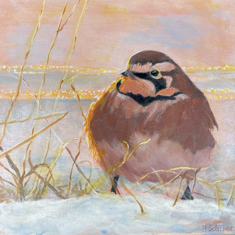 Betty Schriver - Morning Winter Chickadee (photo ref: Mike Blevins)