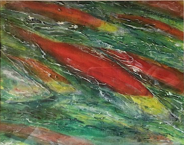 Betty Schriver - Adams River Salmon Run 2